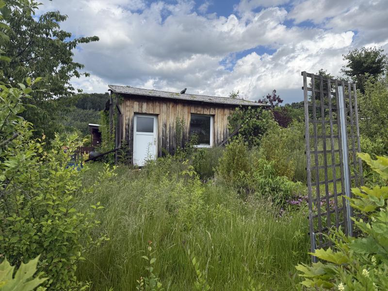 Gartenbild