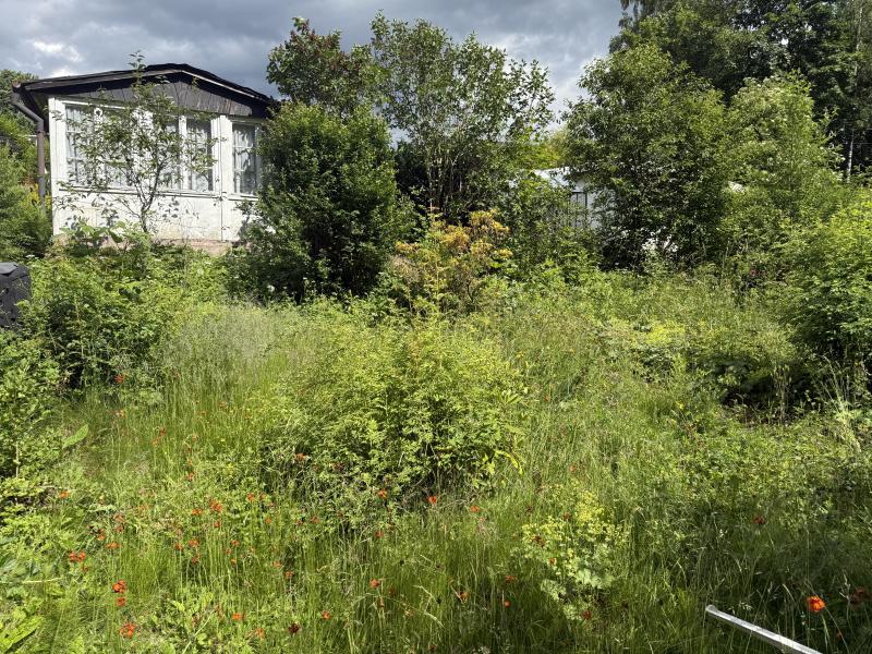 Gartenbild