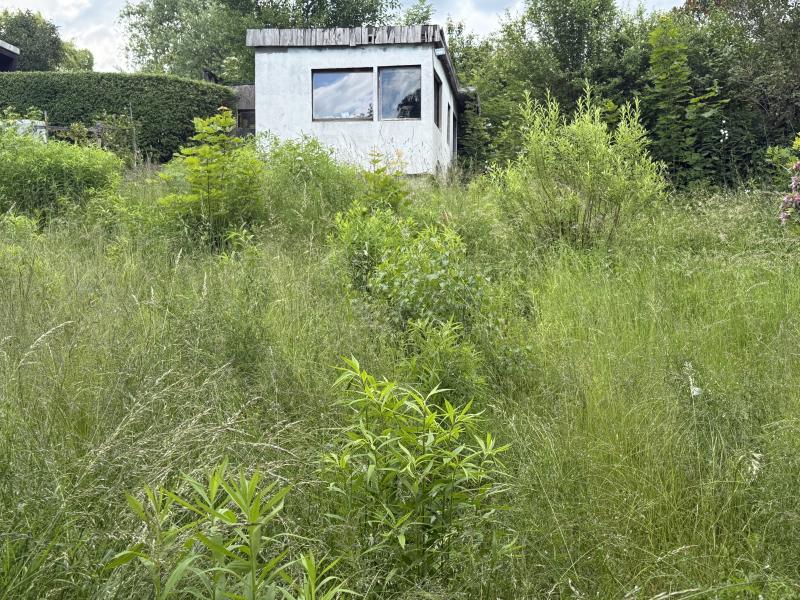 Gartenbild