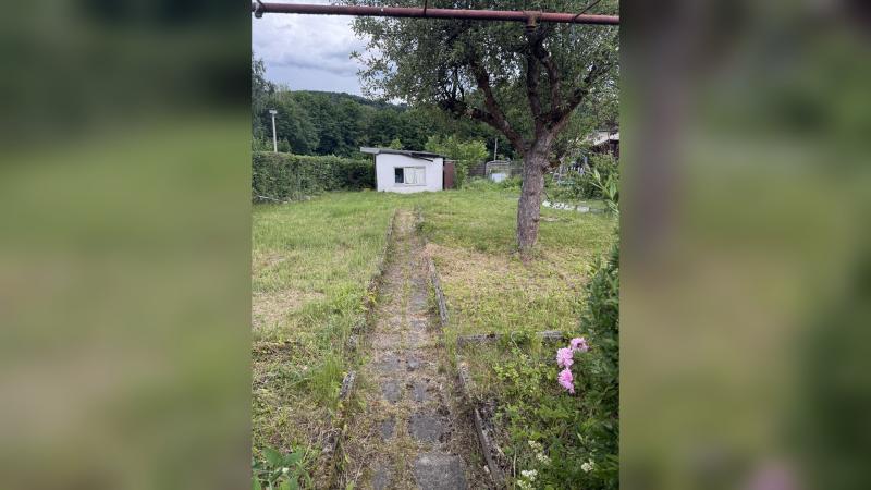 Gartenbild